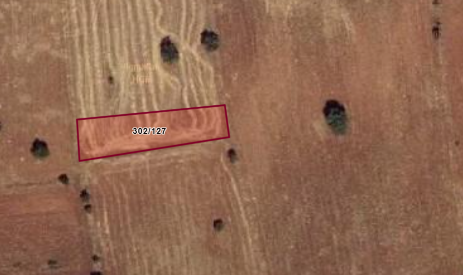 KONYA GÜNEYSINIR HABİLLER KÖYÜNDE 787 M² TARLA SATILIKTIR. - KONYA GÜNEYSINIR fotoğraf 3